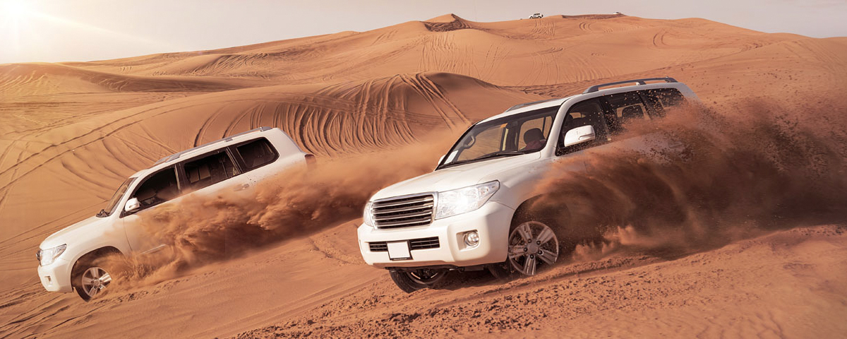 Dubai Desert Safari Tour