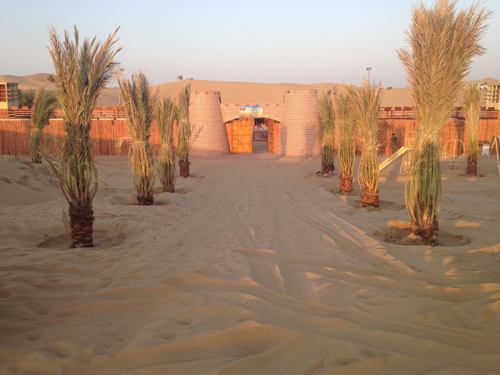 Complete Details of Desert sefari