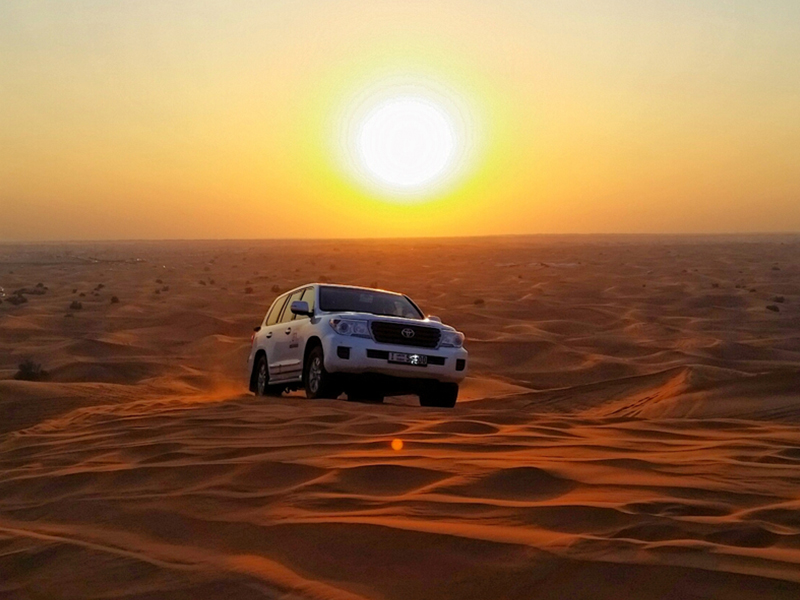 Morning Desert Safari Tour in Dubai