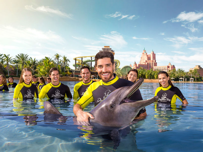 Atlantis Shallow Water Dolphin Encounter 