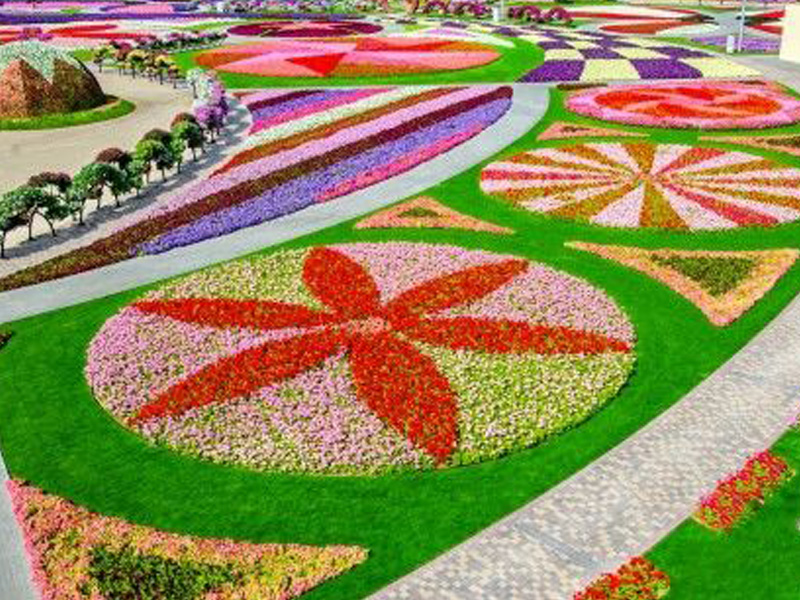 Dubai: Miracle Garden with Transfer Service
