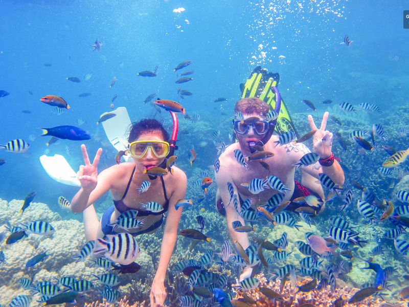 From Dubai: Snorkeling Trip to Fujairan 