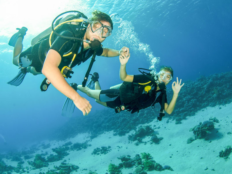  Fujairah Half Day Scuba Dive and Snorkeling