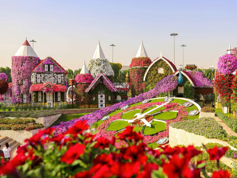 Dubai Miracle Garden Ticket