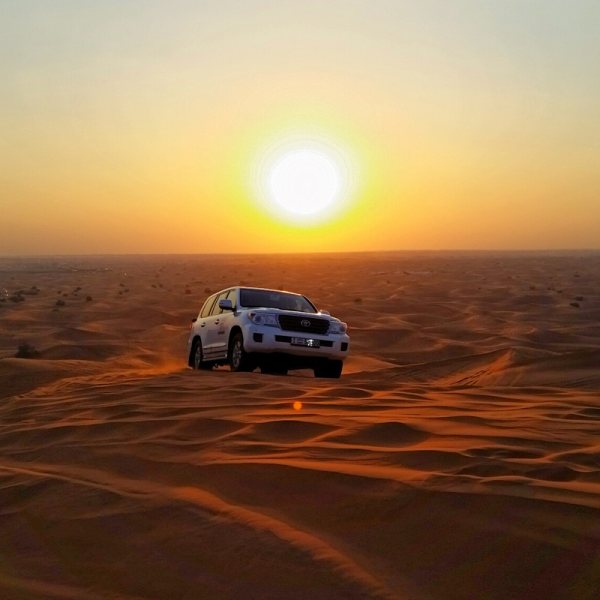 VIP Desert Safari Tour