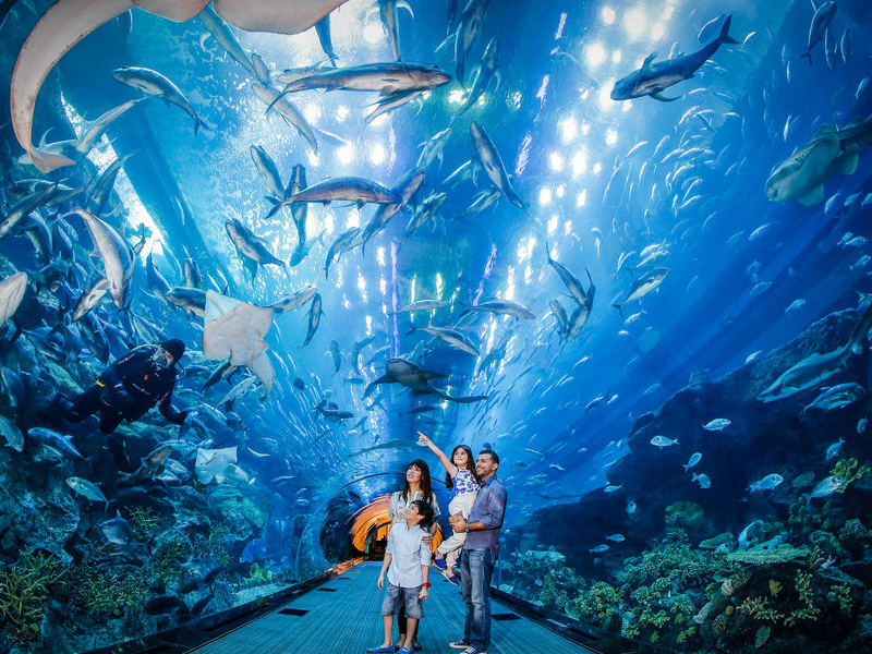 Dubai Aquarium and Underwater Zoo