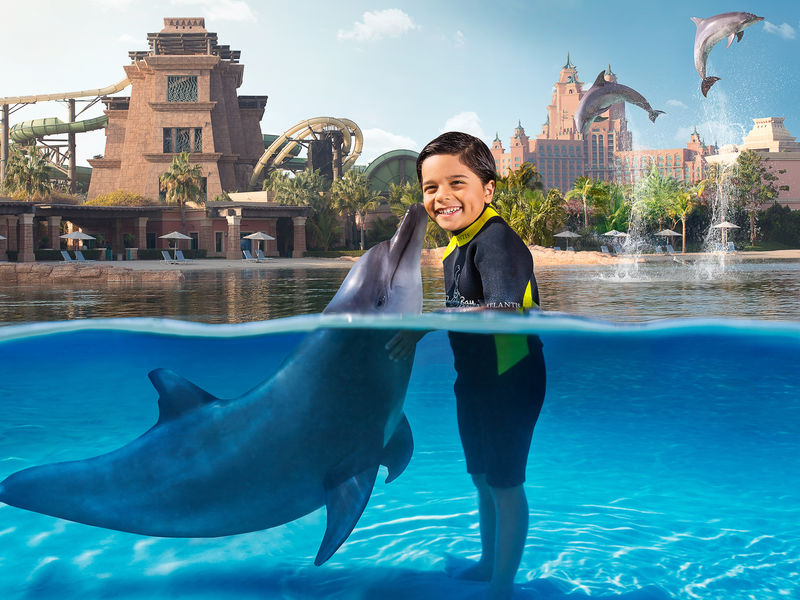 Atlantis Shallow Water Dolphin Encounter 