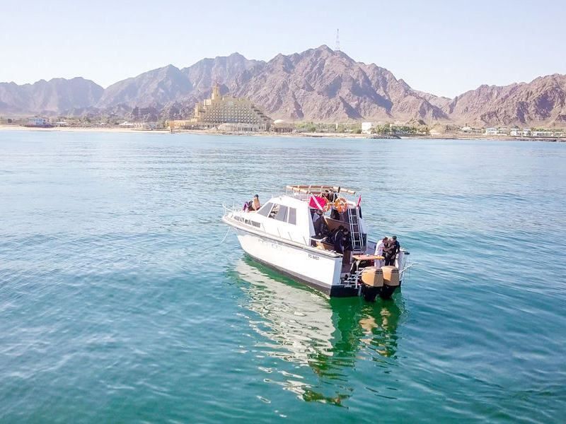  Fujairah Half Day Scuba Dive and Snorkeling