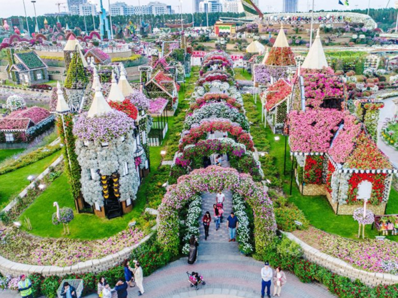 Dubai Miracle Garden Ticket