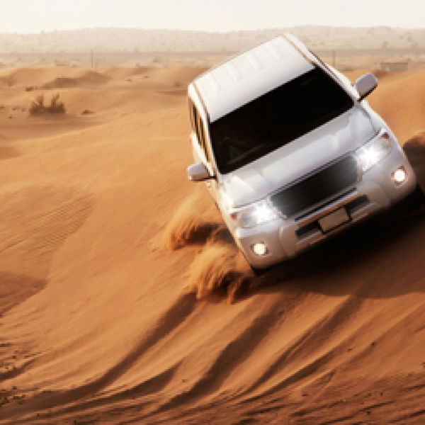 VIP Desert Safari Tour