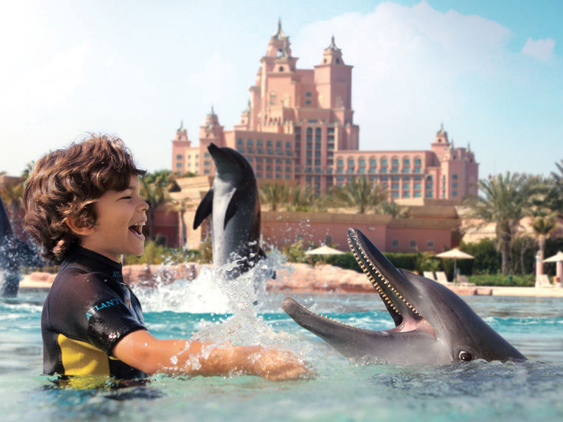 Atlantis Shallow Water Dolphin Encounter 