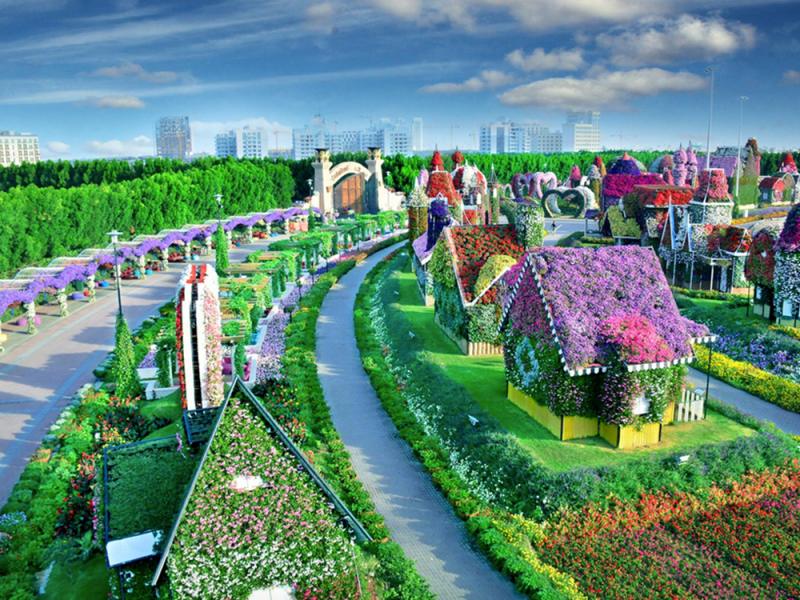 Dubai Miracle Garden Ticket