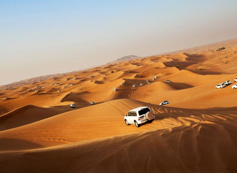 VIP Desert Safari Tour