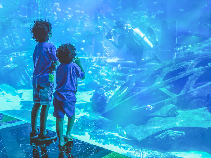 Dubai Aquarium & Burj Khalifa Tickets